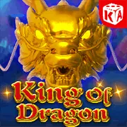 Hỗ trợ tận tâm