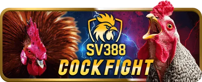 Hỗ trợ kỹ thuật 24/7 vz99bet